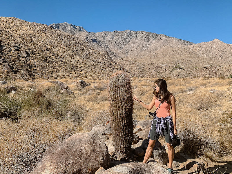 Palm Springs, California, USA-10