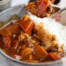 Japanese Curry Rice