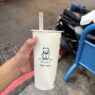 The oolong project, bubble tea in taiwan