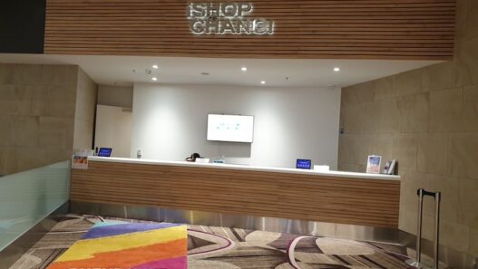 ishopchangi collection counter T4