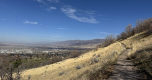 Weekend Favorites: quiet luxury + a surprisingly favorite holiday movie