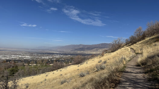 Weekend Favorites: quiet luxury + a surprisingly favorite holiday movie