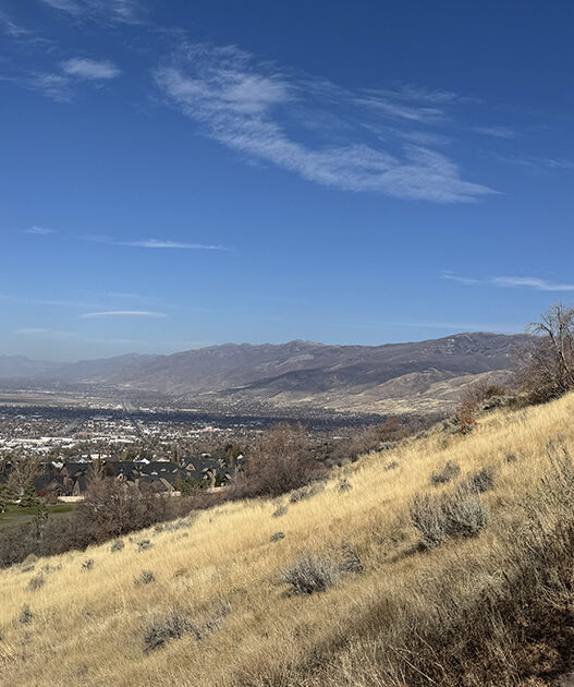 Weekend Favorites: quiet luxury + a surprisingly favorite holiday movie