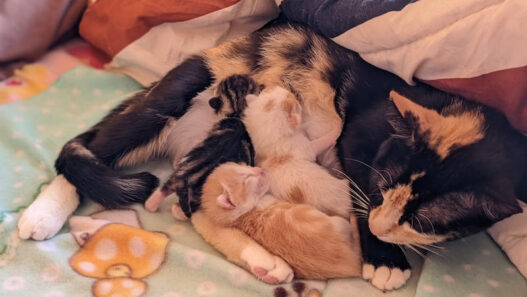 2022 Reflections (From Instagram) | Bel Around The World