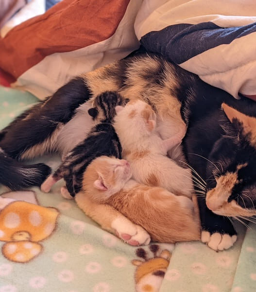 2022 Reflections (From Instagram) | Bel Around The World