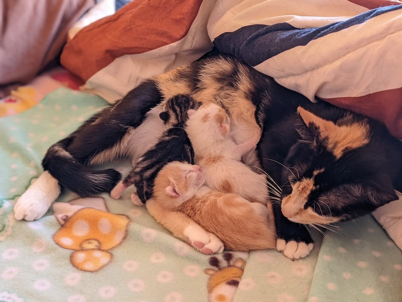 2022 Reflections (From Instagram) | Bel Around The World