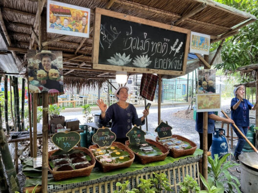 10 Day Trips from Bangkok That You Should Know About- trips from bangkok - Huapli Market Tour 1
