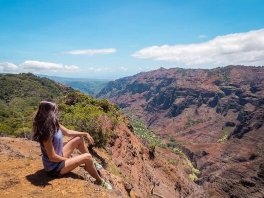 waimea-canyon-viewpoint-best-hikes-in-kauai-hawaii