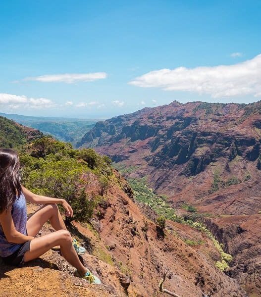 waimea-canyon-viewpoint-best-hikes-in-kauai-hawaii