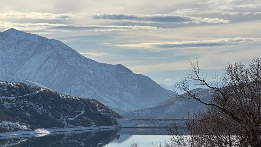 Weekend Favorites: The perfect gift for your exhausted friend + a social media fast