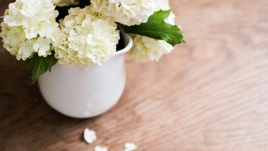 How To Simplify Anything - Be More with Less