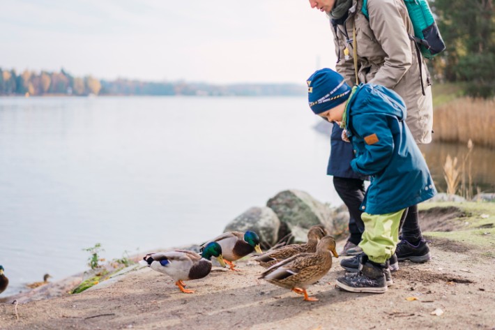 child feed ducks fun, Seurasaari Open-Air Museum, Helsinki
