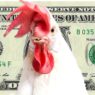chicken money