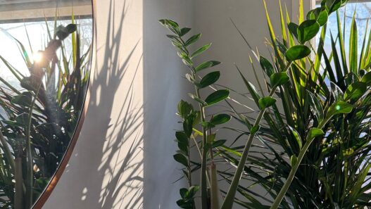 Weekend Favorites: 83 mostly free ways to slow down and laundry hacks