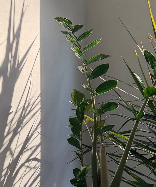 Weekend Favorites: 83 mostly free ways to slow down and laundry hacks