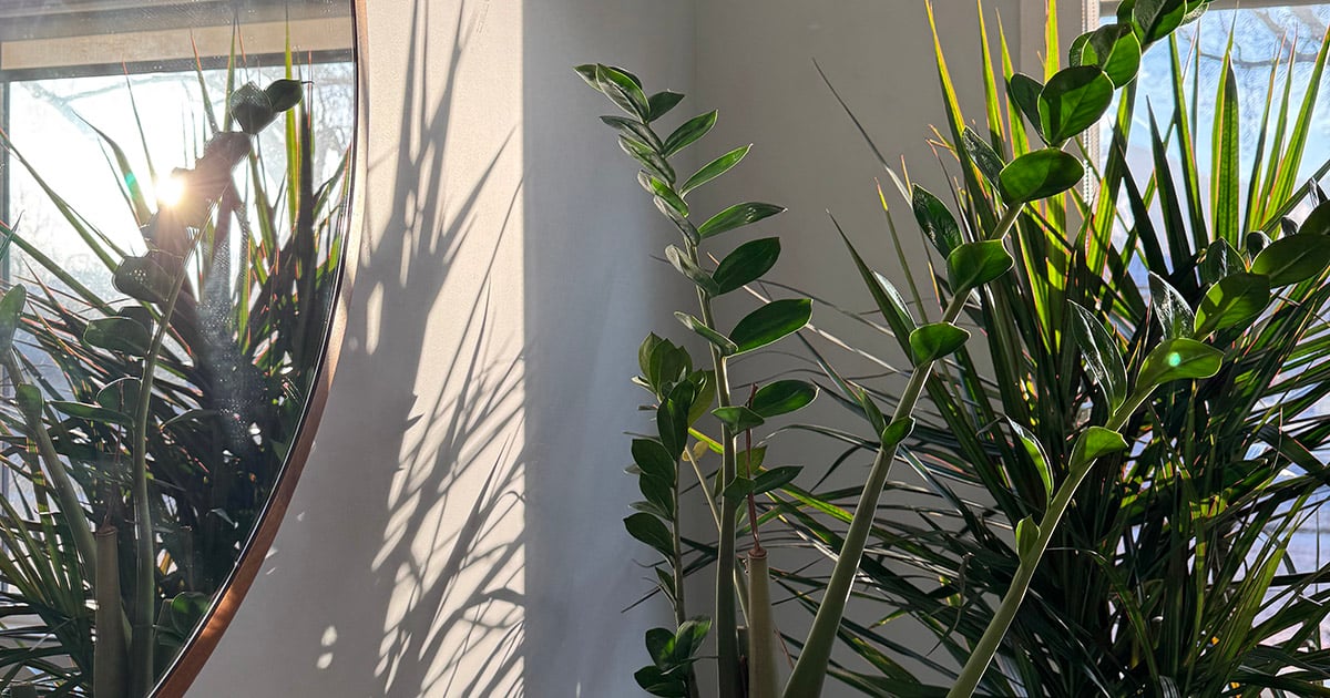 Weekend Favorites: 83 mostly free ways to slow down and laundry hacks