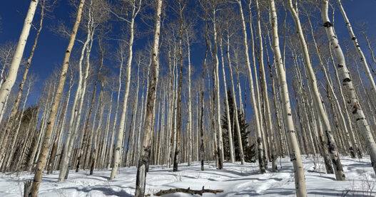 Weekend Favorites: deep cleaning checklist + low effort habits