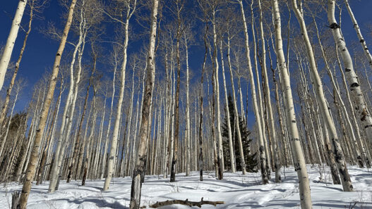 Weekend Favorites: deep cleaning checklist + low effort habits