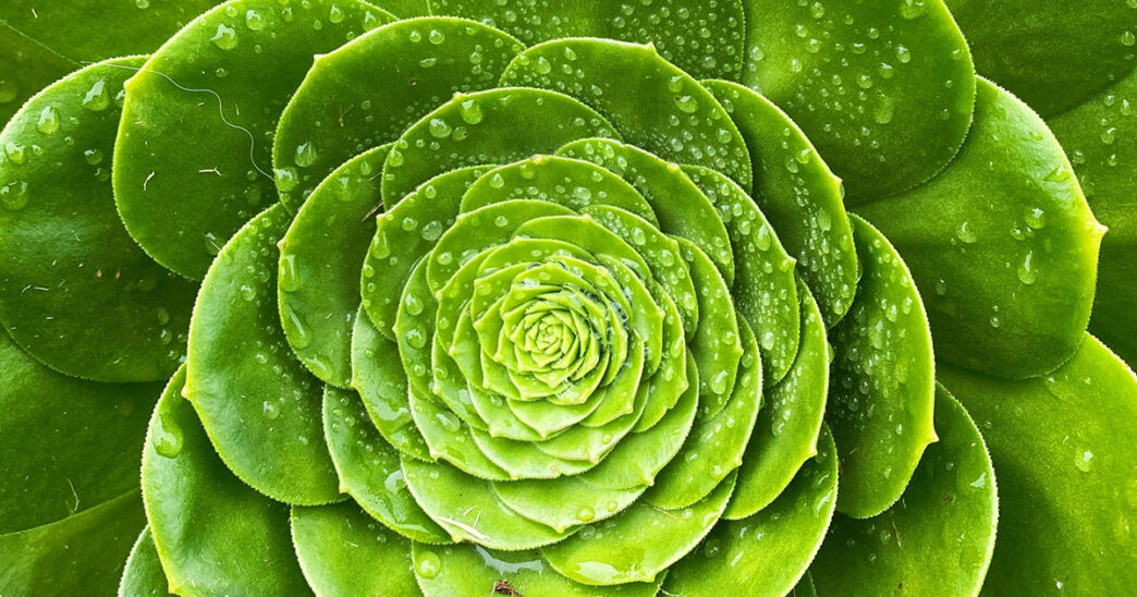 Weekend Favorites: digital to-do list + 7 ways to develop a minimalist mindset