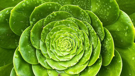 Weekend Favorites: digital to-do list + 7 ways to develop a minimalist mindset