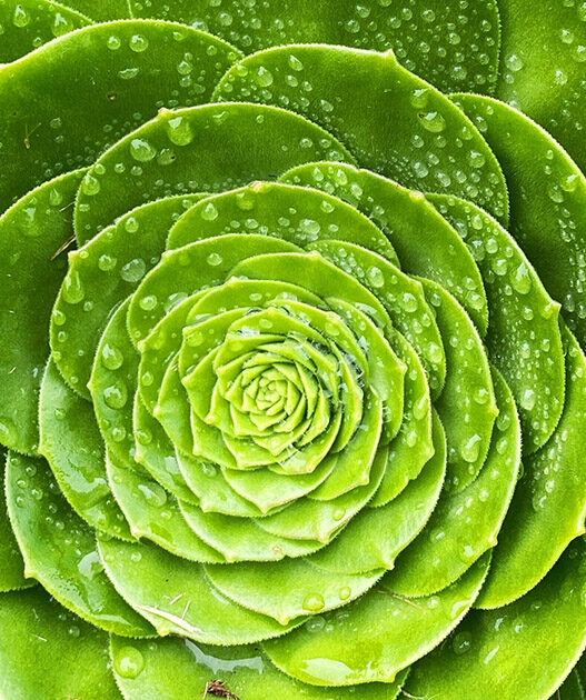 Weekend Favorites: digital to-do list + 7 ways to develop a minimalist mindset