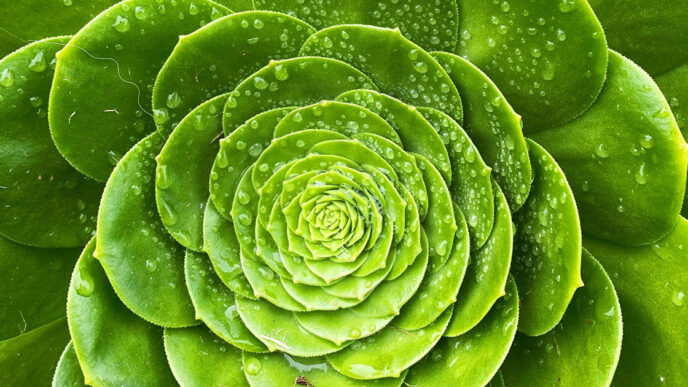 Weekend Favorites: digital to-do list + 7 ways to develop a minimalist mindset