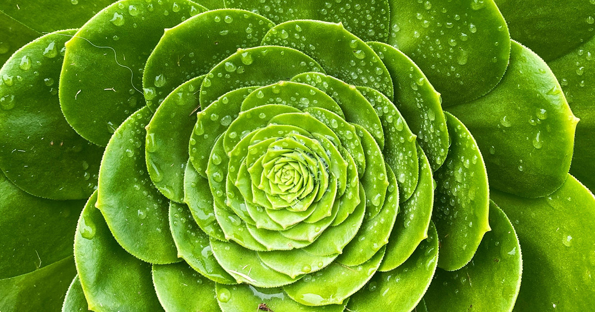 Weekend Favorites: digital to-do list + 7 ways to develop a minimalist mindset