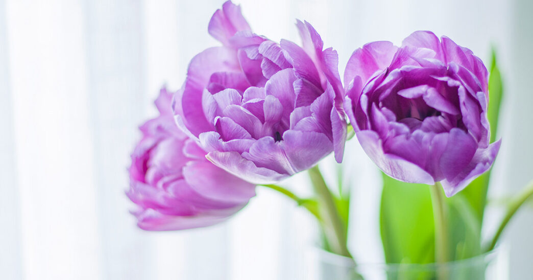 Honest Decluttering Advice You Might Not Want to Hear