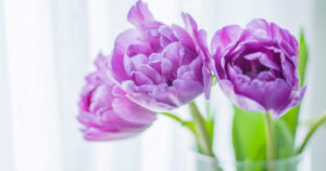 Honest Decluttering Advice You Might Not Want to Hear