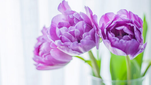 Honest Decluttering Advice You Might Not Want to Hear