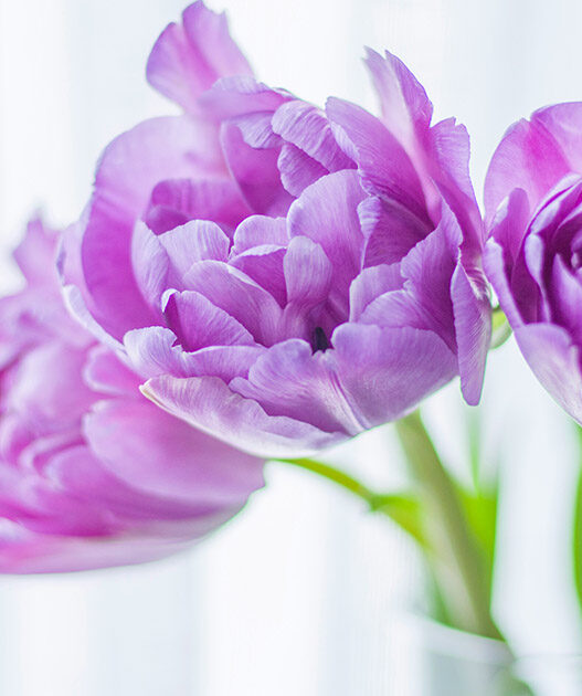 Honest Decluttering Advice You Might Not Want to Hear