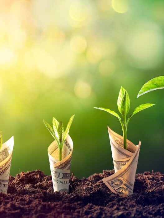 How Does Compound Interest Work? Simple Examples That Show Its Power