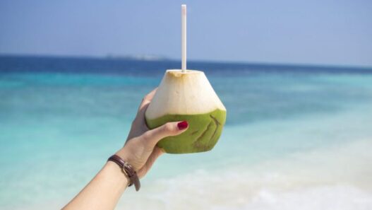 Maldives budget COMO Hotel Cocoa Island coconut