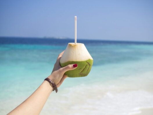 Maldives budget COMO Hotel Cocoa Island coconut