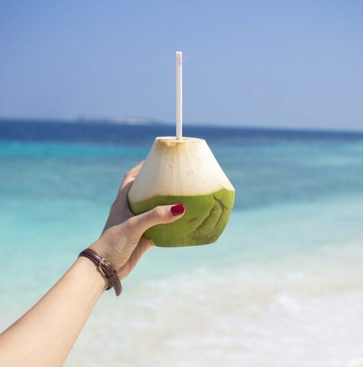 Maldives budget COMO Hotel Cocoa Island coconut