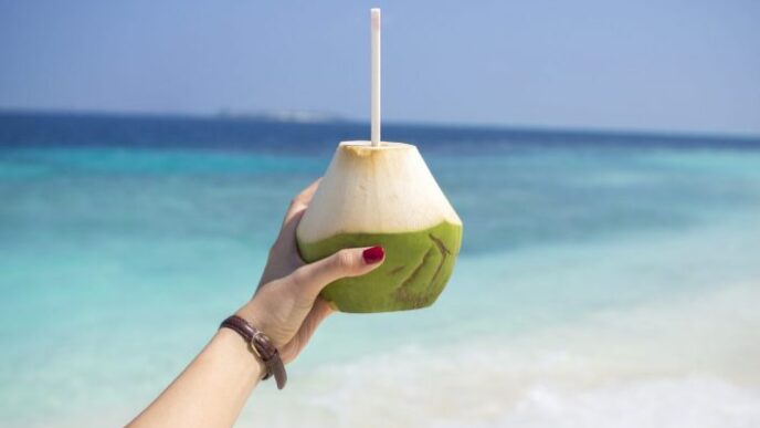 Maldives budget COMO Hotel Cocoa Island coconut
