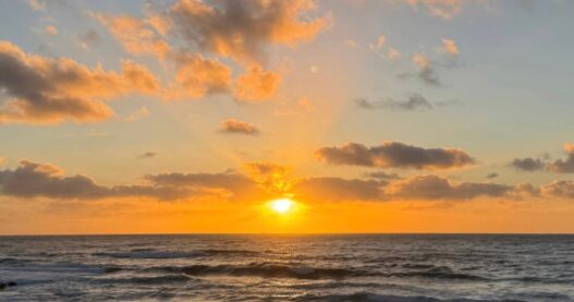 Weekend Favorites: fun decluttering habits + 30 things to declutter in March