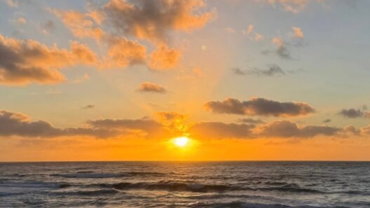 Weekend Favorites: fun decluttering habits + 30 things to declutter in March