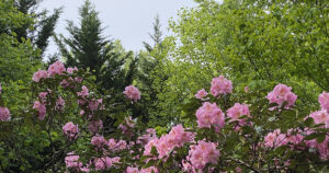 Weekend Favorites: hack your happiness hormones + closet decluttering