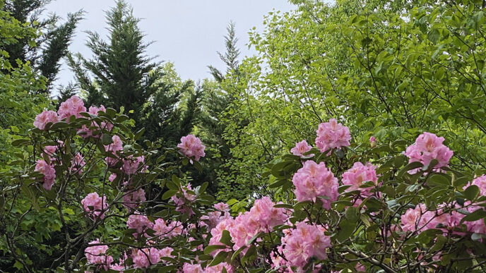 Weekend Favorites: hack your happiness hormones + closet decluttering