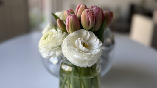 Weekend Favorites: little nighttime habits + simple spring cleaning