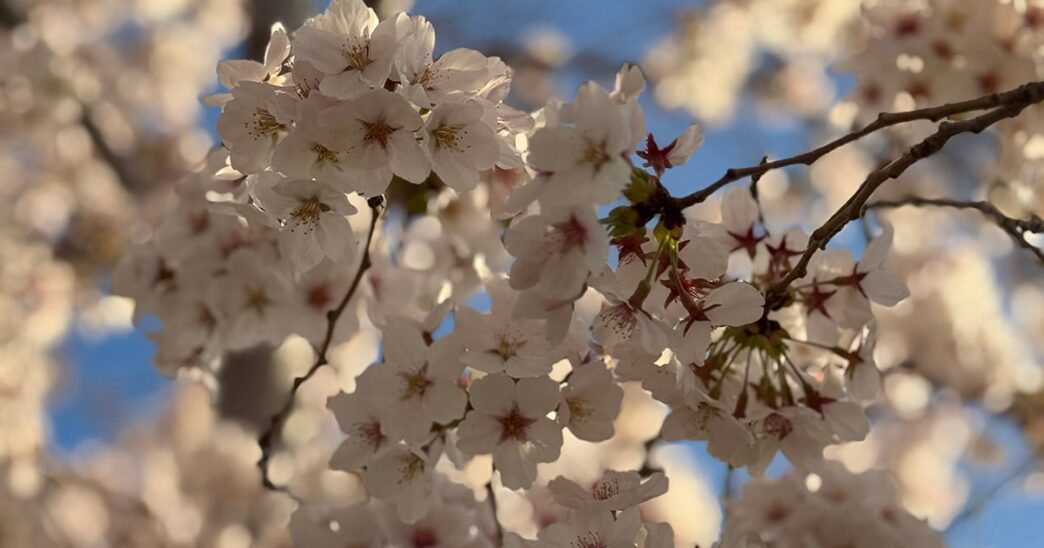 Weekend Favorites: worry time + the 5 stages of too much clutter