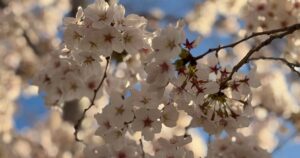 Weekend Favorites: worry time + the 5 stages of too much clutter