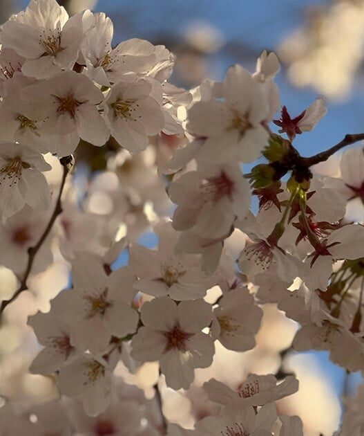 Weekend Favorites: worry time + the 5 stages of too much clutter