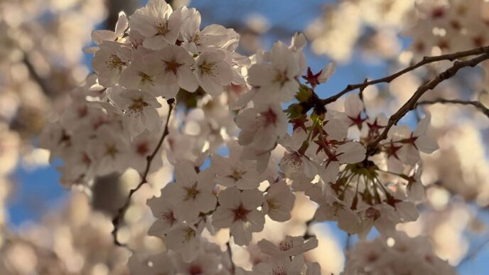 Weekend Favorites: worry time + the 5 stages of too much clutter