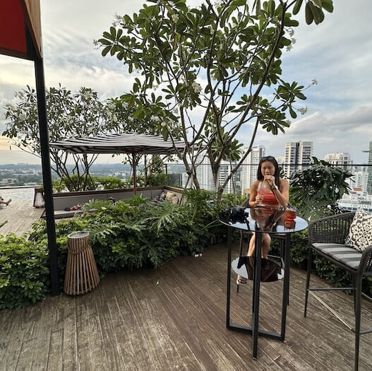 rooftop bar , artyzen singapore hotel review