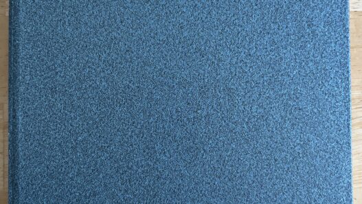 30 Years of My Diary – Jamie Todd Rubin