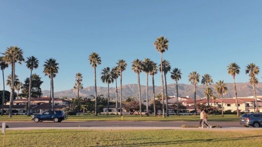 Best Things To Do In California For First-Time Travellers