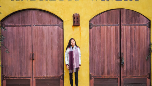 Andretti Winery, Napa Valley wine tour, California, USA-4