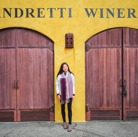 Andretti Winery, Napa Valley wine tour, California, USA-4